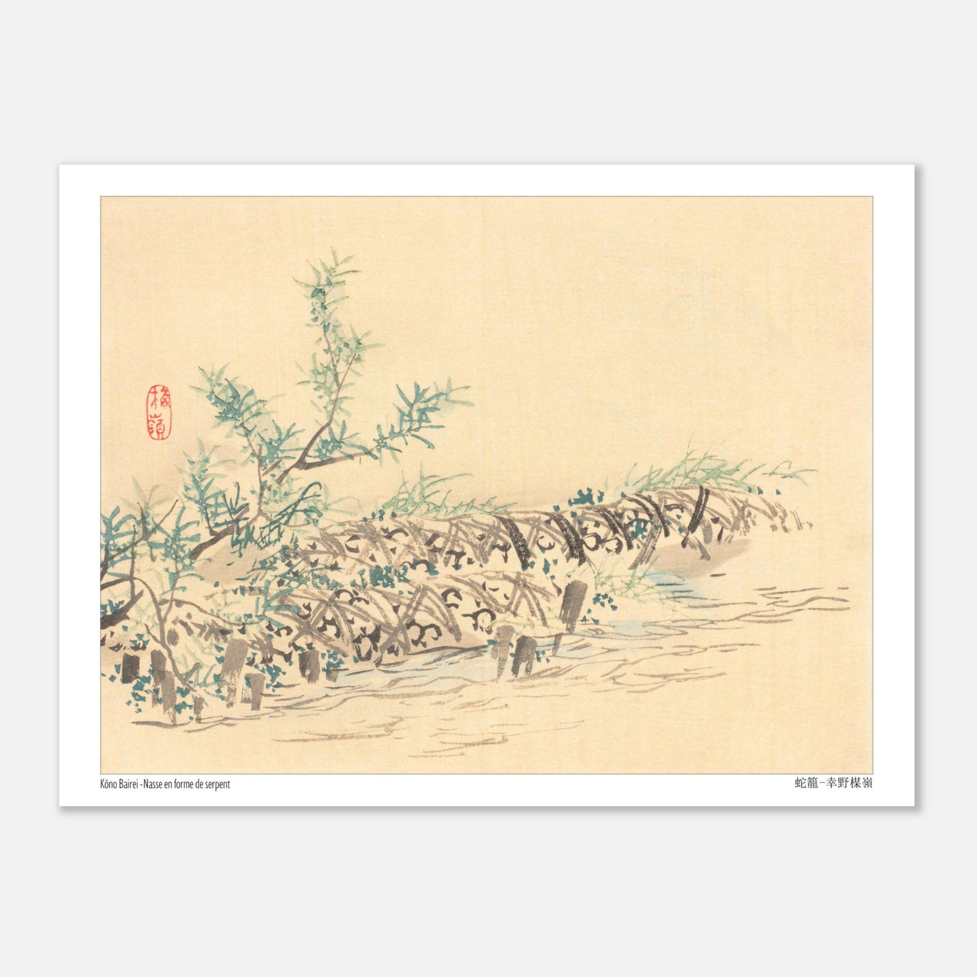 Illustration d'une Nasse en Forme de Serpent (Jakago) par Kōno Bairei (15x20 cm). Dessin d'une nasse en forme de serpent, ornée de petites feuilles et fleurs, dans un environnement aquatique.