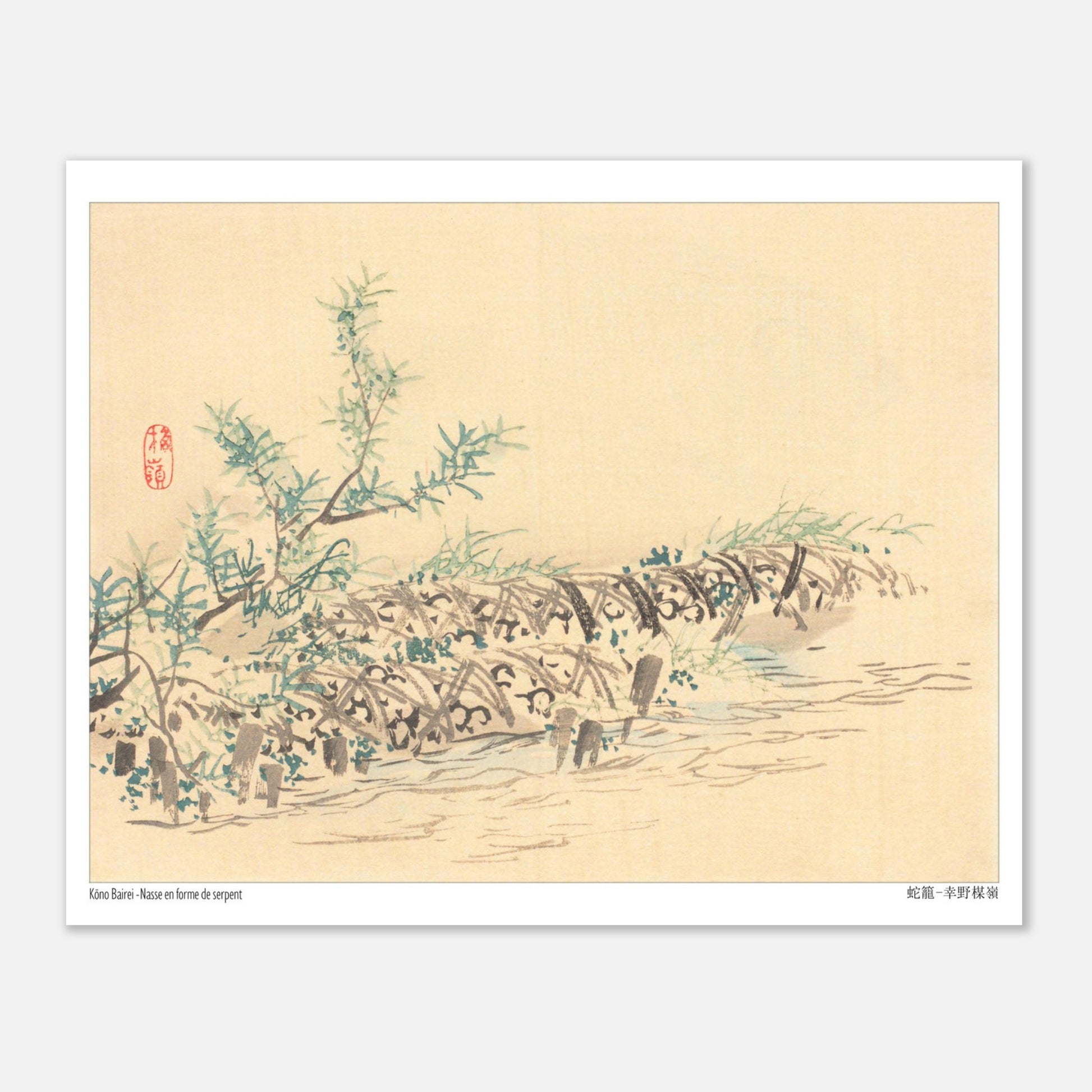 Illustration d'une Nasse en Forme de Serpent (Jakago) par Kōno Bairei (20x25 cm). Dessin d'une nasse en forme de serpent, ornée de petites feuilles et fleurs, dans un environnement aquatique.