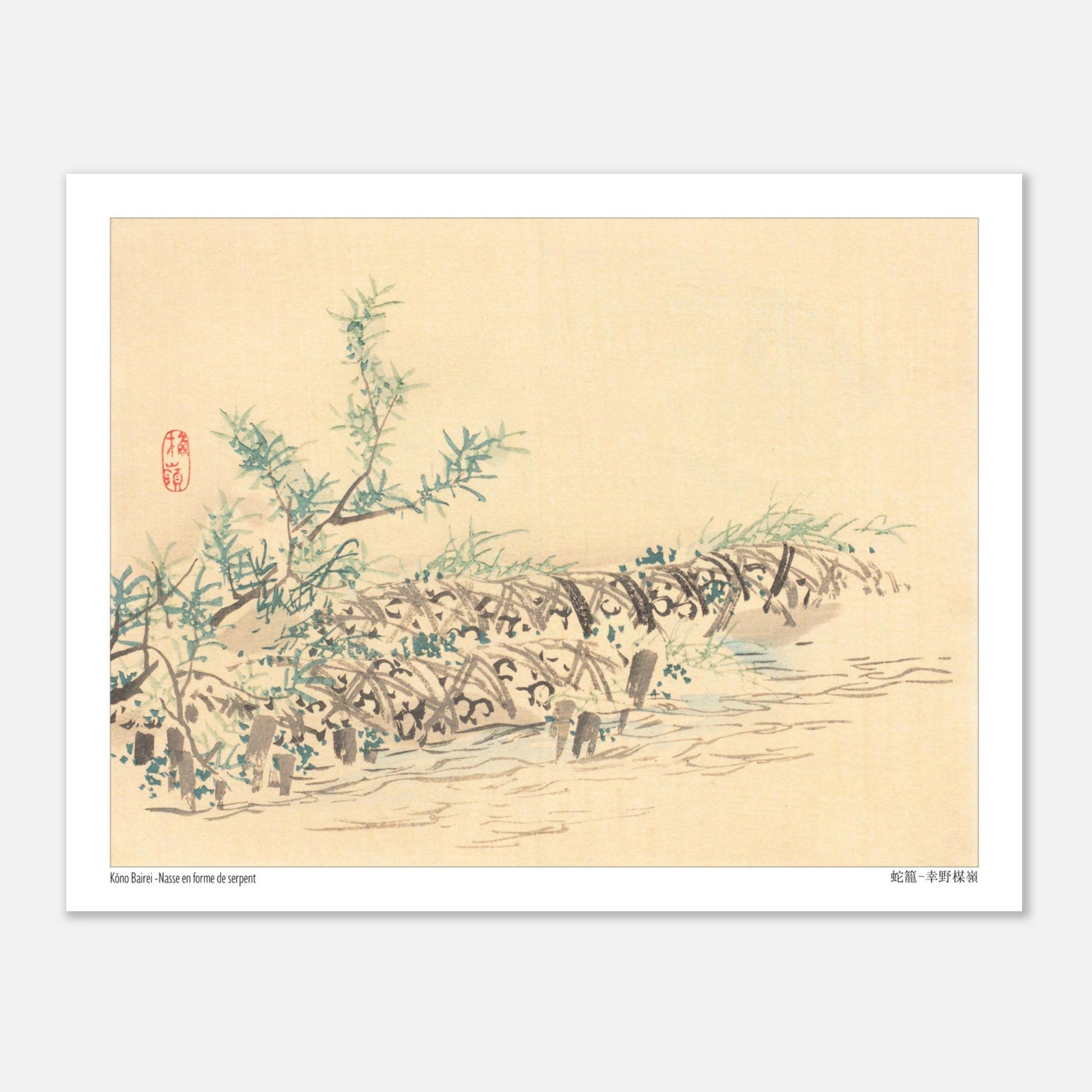 Illustration d'une Nasse en Forme de Serpent (Jakago) par Kōno Bairei (27x35 cm). Dessin d'une nasse en forme de serpent, ornée de petites feuilles et fleurs, dans un environnement aquatique.