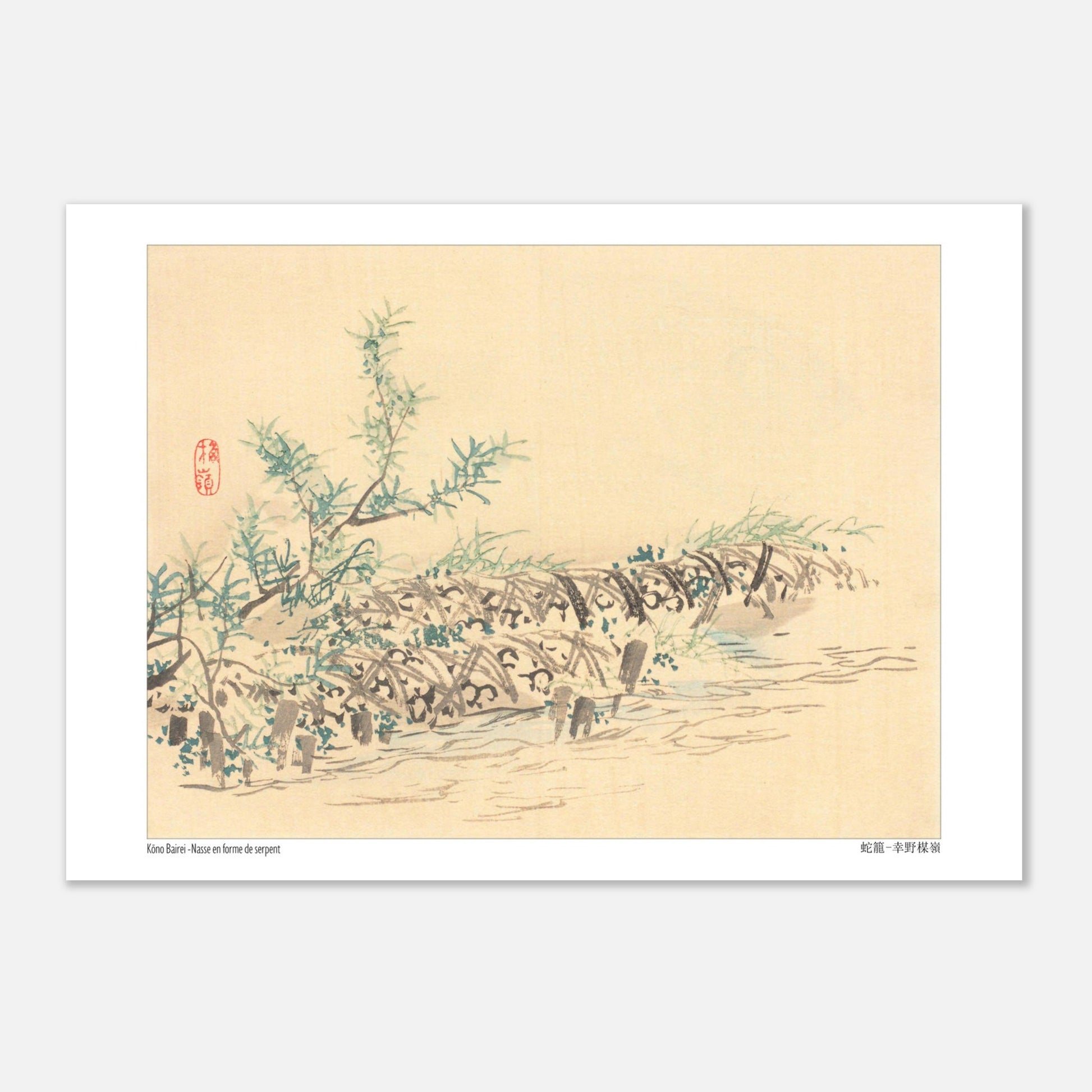 Illustration d'une Nasse en Forme de Serpent (Jakago) par Kōno Bairei (29,7x42 cm (A3)). Dessin d'une nasse en forme de serpent, ornée de petites feuilles et fleurs, dans un environnement aquatique.
