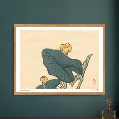 Le Nénuphar jaune, estampe naturaliste de Kōno Bairei. Une estampe japonaise dépeignant des fleurs de nénuphar jaunes entourées de grandes feuilles vertes. Image d'illustration 5