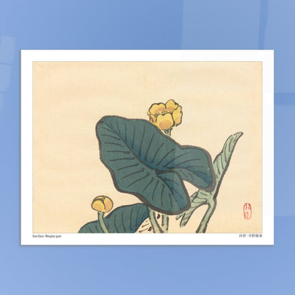 Le Nénuphar jaune, estampe naturaliste de Kōno Bairei. Une estampe japonaise dépeignant des fleurs de nénuphar jaunes entourées de grandes feuilles vertes. Image d'illustration 6