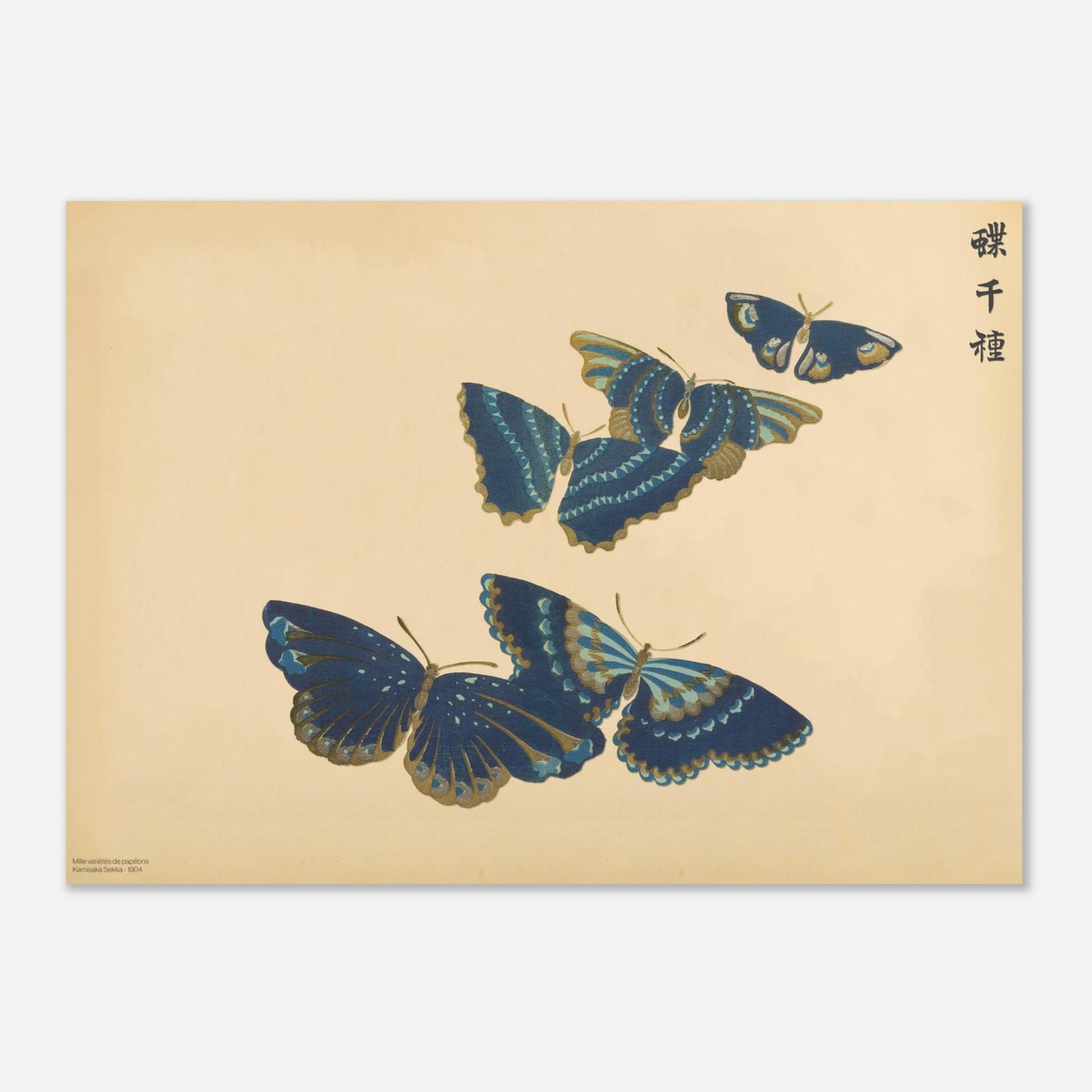 Estampe de papillons bleus et dorés de Kamisaka Sekka (50x70 cm). Illustration de Kamisaka Sekka de plusieurs papillons bleus rehaussés de détails dorés, disposés en arc de cercle.