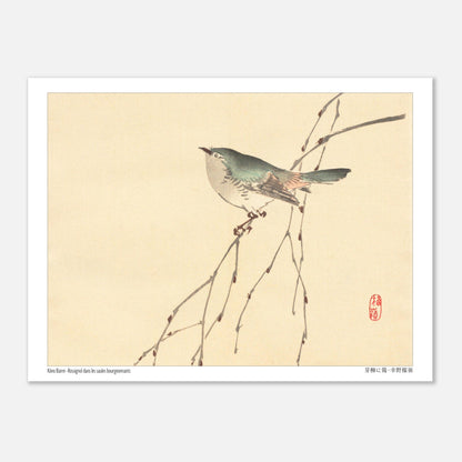 Rossignol dans les saules bourgeonnants, estampe de Kōno Bairei (15x20 cm). Illustration d'un petit oiseau gris et vert perché sur une branche fine aux bourgeons, sur fond beige.