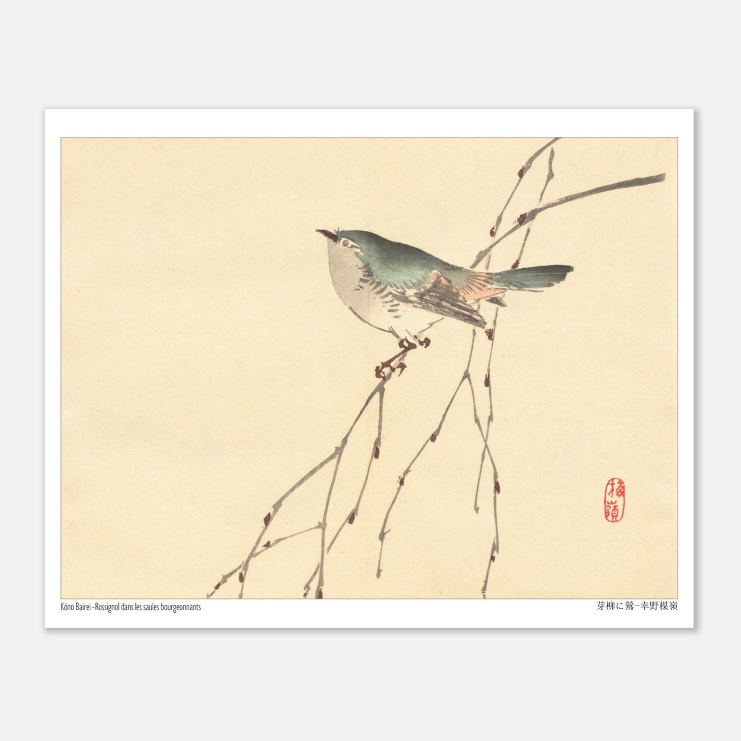 Rossignol dans les saules bourgeonnants, estampe de Kōno Bairei (20x25 cm). Illustration d'un petit oiseau gris et vert perché sur une branche fine aux bourgeons, sur fond beige.