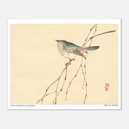 Rossignol dans les saules bourgeonnants, estampe de Kōno Bairei (20x25 cm). Illustration d'un petit oiseau gris et vert perché sur une branche fine aux bourgeons, sur fond beige.