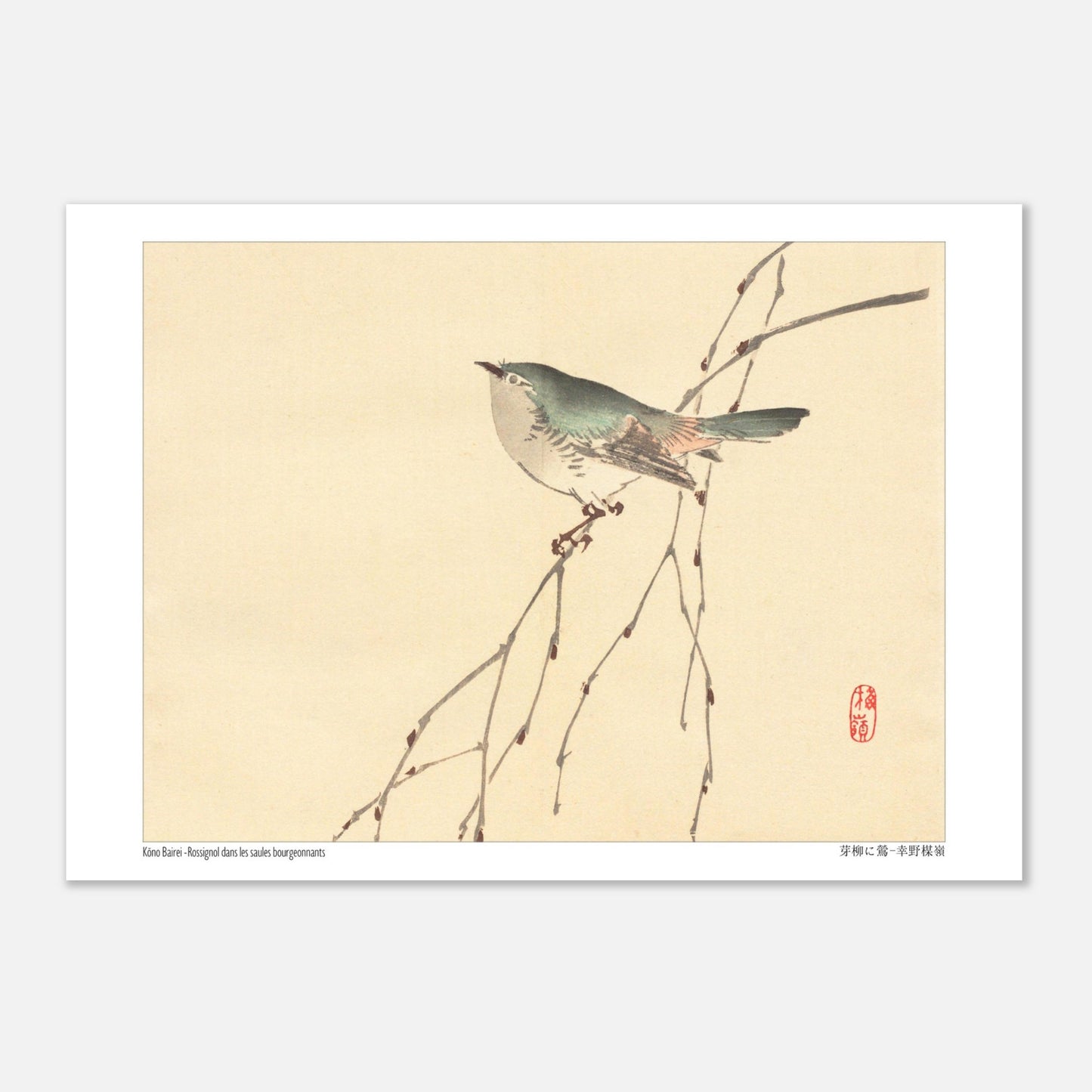 Rossignol dans les saules bourgeonnants, estampe de Kōno Bairei (21x29,7 cm (A4)). Illustration d'un petit oiseau gris et vert perché sur une branche fine aux bourgeons, sur fond beige.