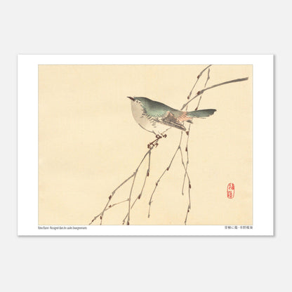 Rossignol dans les saules bourgeonnants, estampe de Kōno Bairei (21x29,7 cm (A4)). Illustration d'un petit oiseau gris et vert perché sur une branche fine aux bourgeons, sur fond beige.