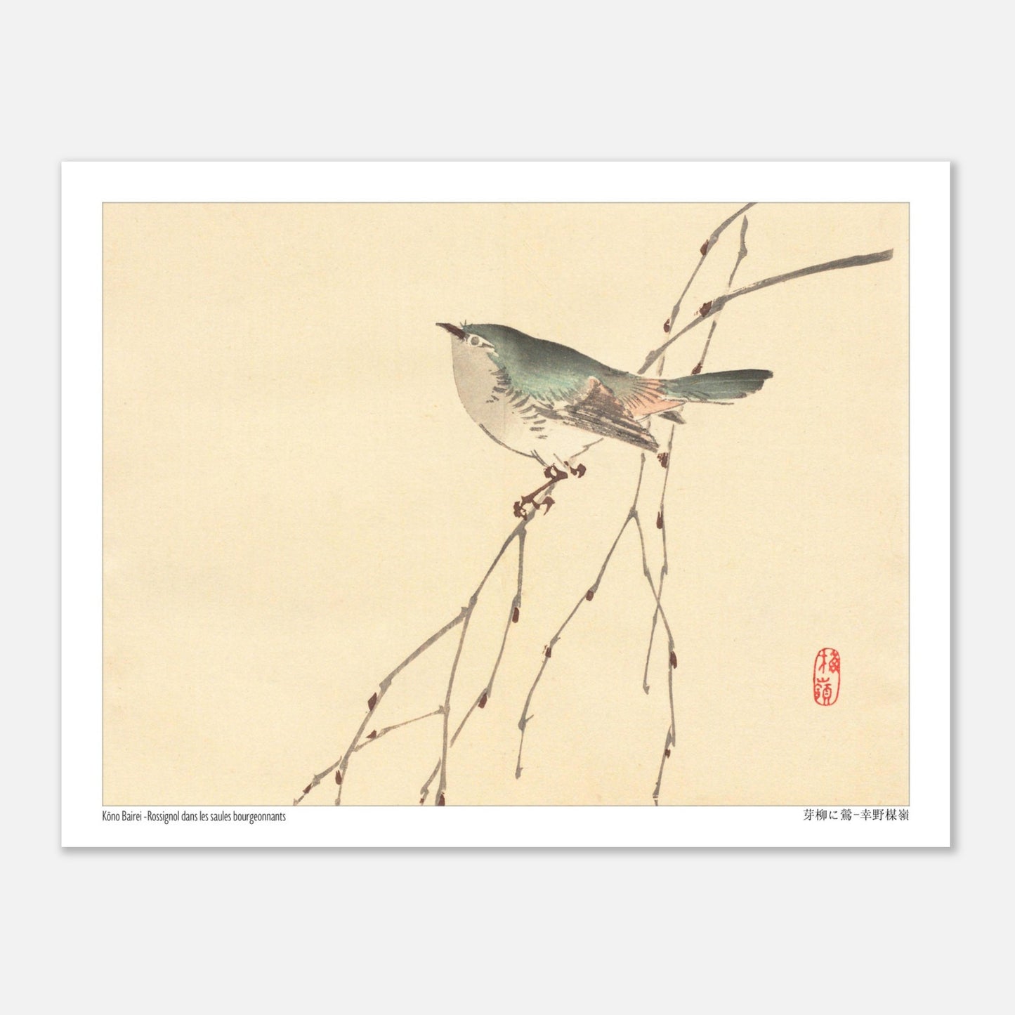 Rossignol dans les saules bourgeonnants, estampe de Kōno Bairei (27x35 cm). Illustration d'un petit oiseau gris et vert perché sur une branche fine aux bourgeons, sur fond beige.