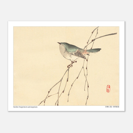 Rossignol dans les saules bourgeonnants, estampe de Kōno Bairei (27x35 cm). Illustration d'un petit oiseau gris et vert perché sur une branche fine aux bourgeons, sur fond beige.