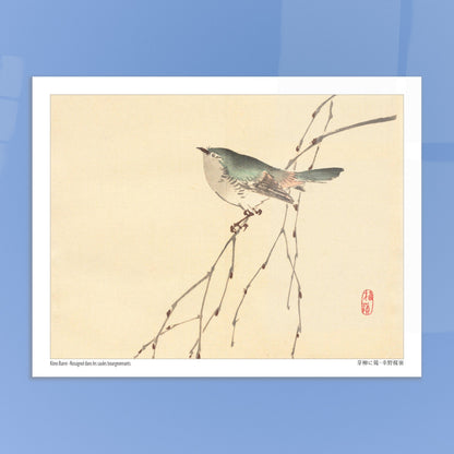 Rossignol dans les saules bourgeonnants, estampe de Kōno Bairei. Illustration d'un petit oiseau gris et vert perché sur une branche fine aux bourgeons, sur fond beige. Image d'illustration 6