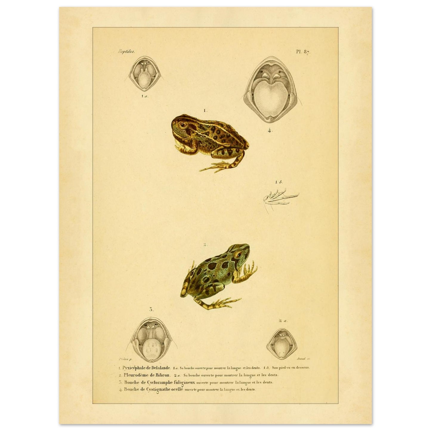 f398362a-dc6a-4faf-813d-b9855daeccd5