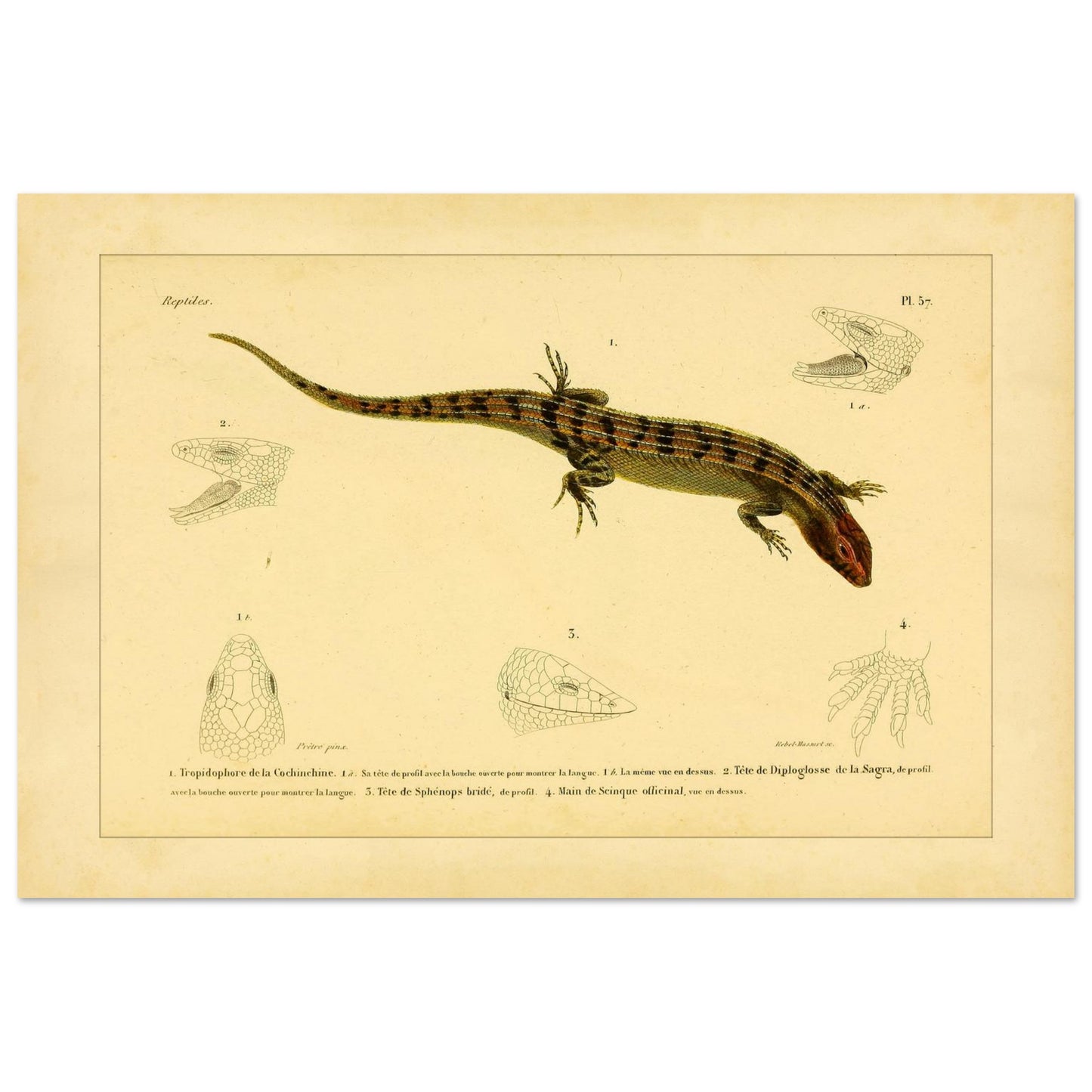 f427f2fb-4a87-4ef4-a785-12e8c749327f