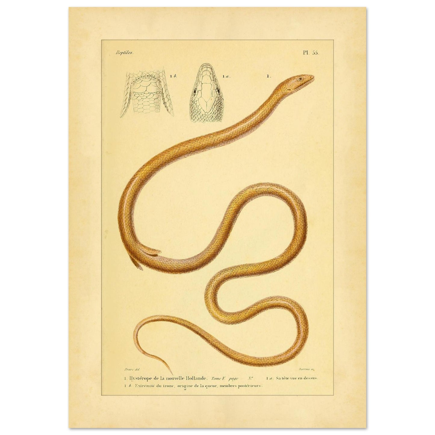 f4683f88-53f5-4f4b-af9e-55e500e37836