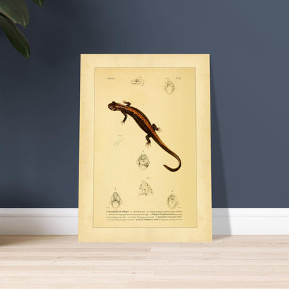 f4cff75e-4f3b-4ba7-95d7-5b727bad8d21