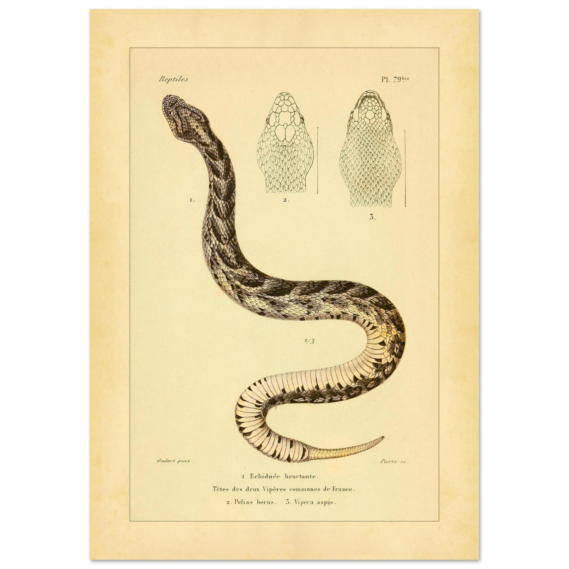 f6425af4-2856-4699-bcb2-fa6359dc0155