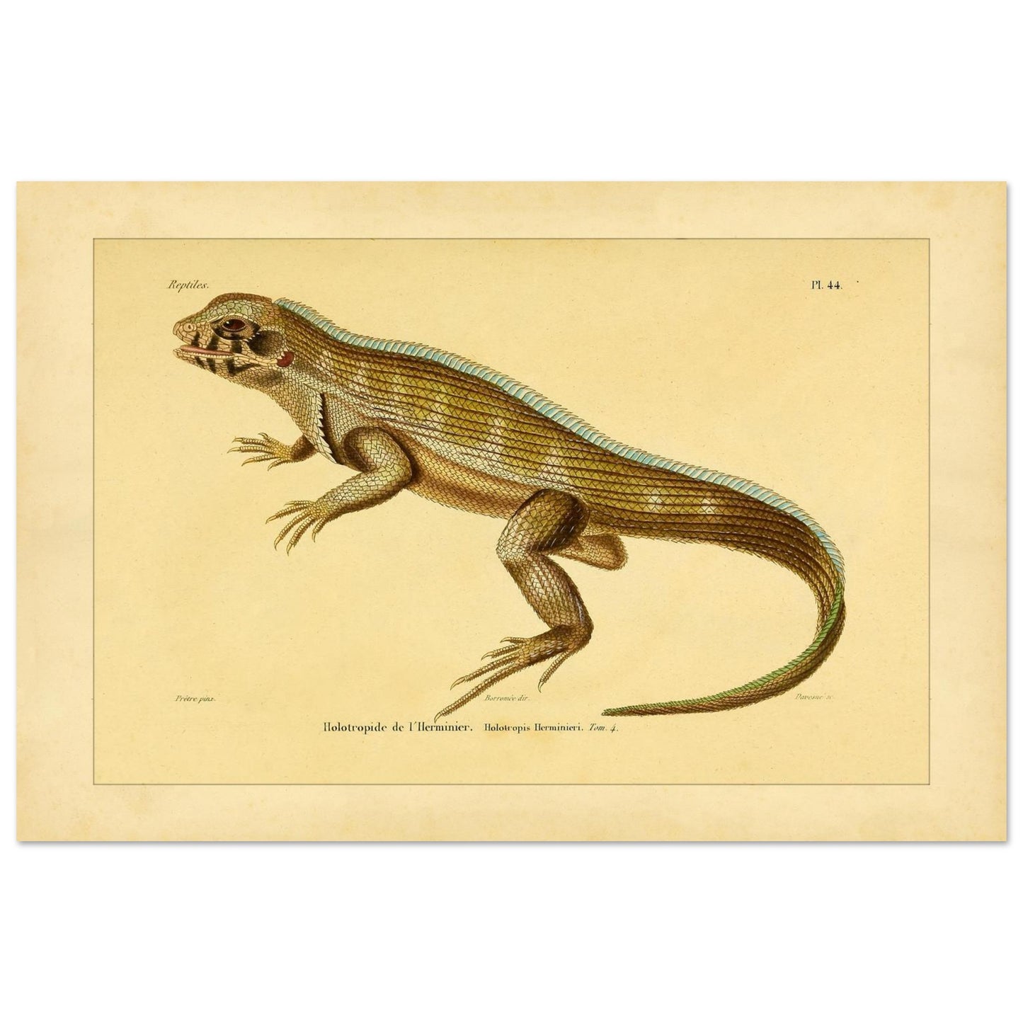 f846e66d-db28-4440-94b3-6cd43be3478d