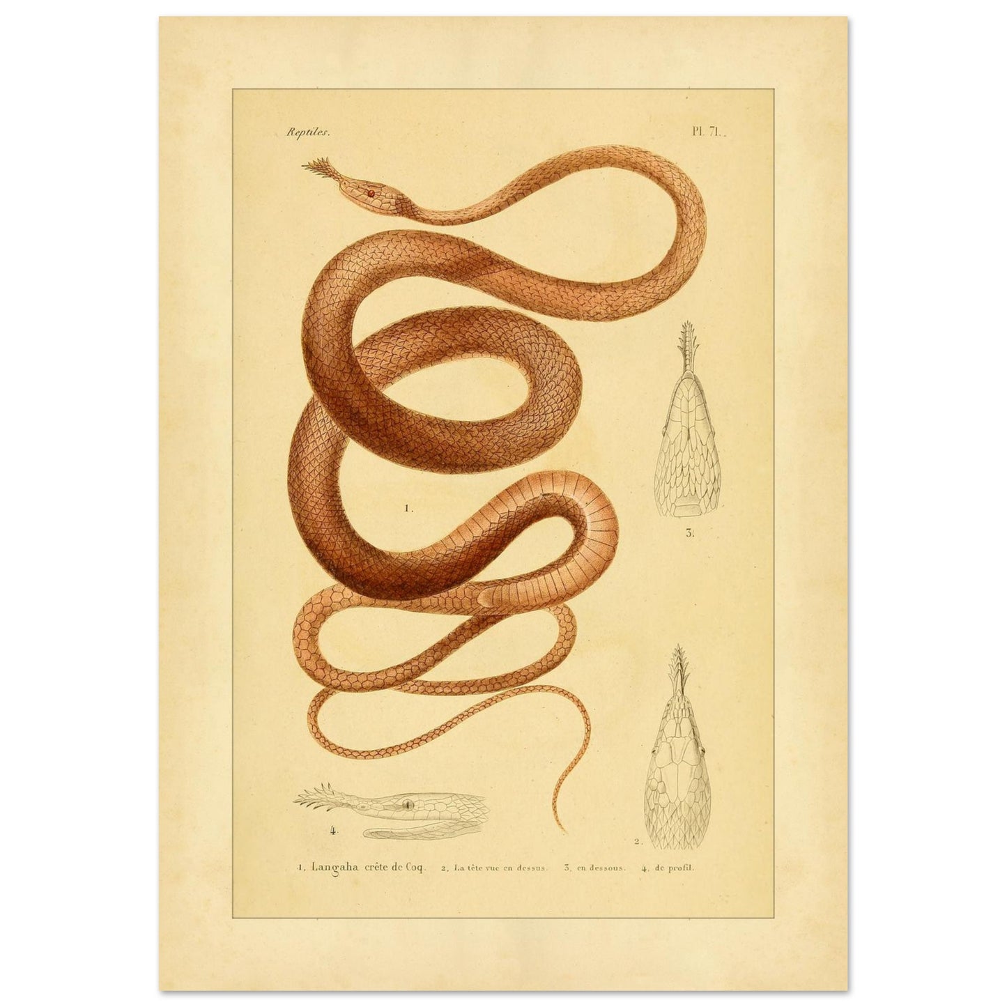 f889a926-db17-41ca-b632-fa66da1a2555