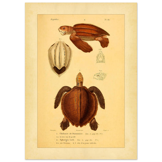 fa948b8b-d6aa-458f-aa8f-445382efd74e