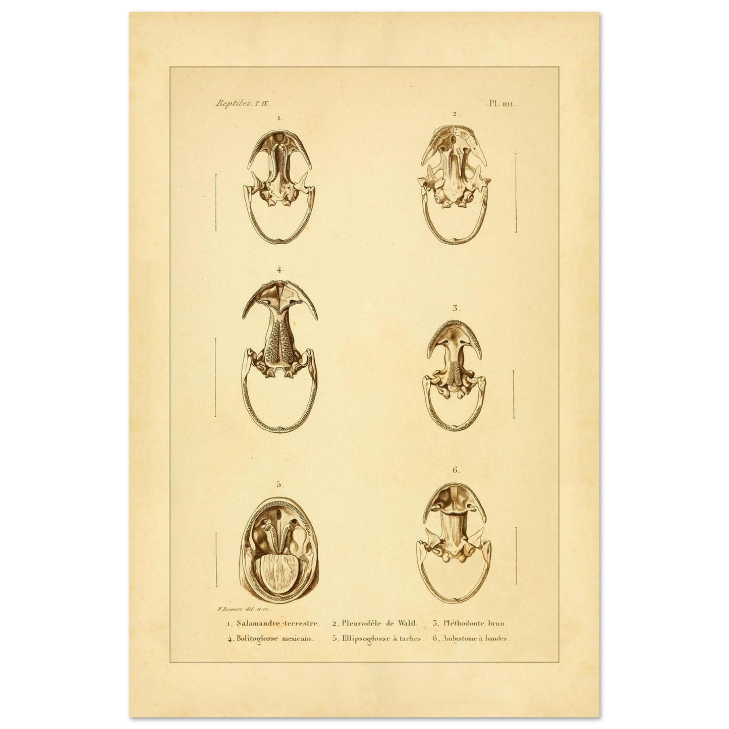 fa98d956-5a9b-45e0-8e9b-c4601fc0ca7c