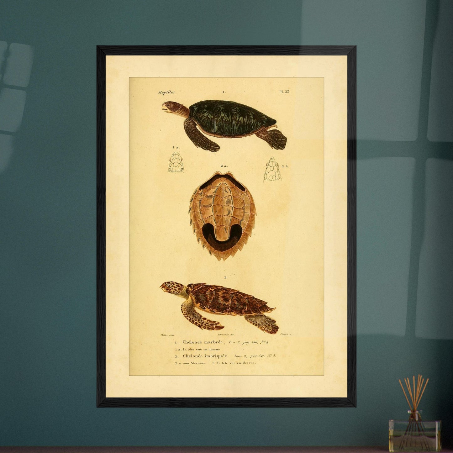 fbc72ced-a5a1-426f-b59e-3af6b51ed5a1