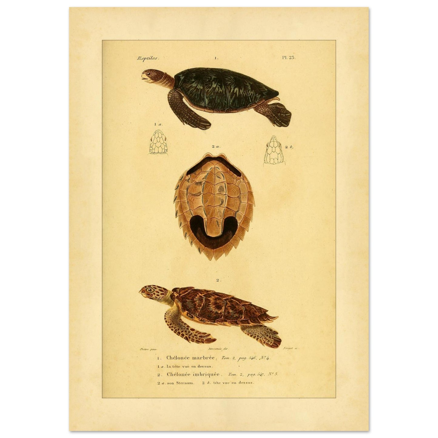 fbd5f981-b614-4e20-bbe0-f417edd8ef9e