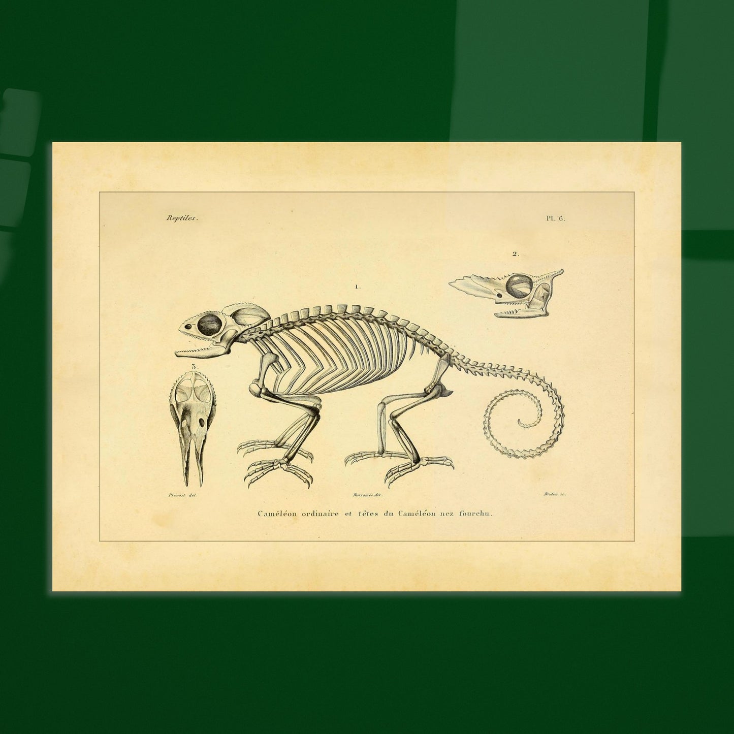 fc8604b0-b55e-4d06-8bea-c3d132bfd552