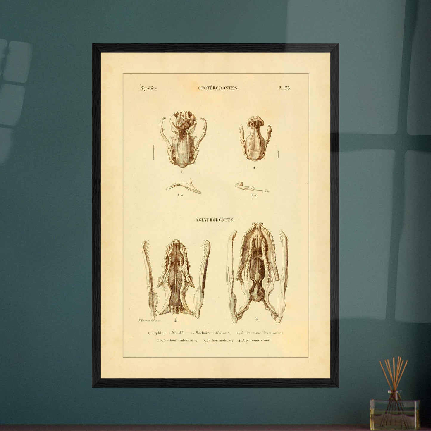 ff9f5a21-943a-4216-a9fd-261e3d8618d1