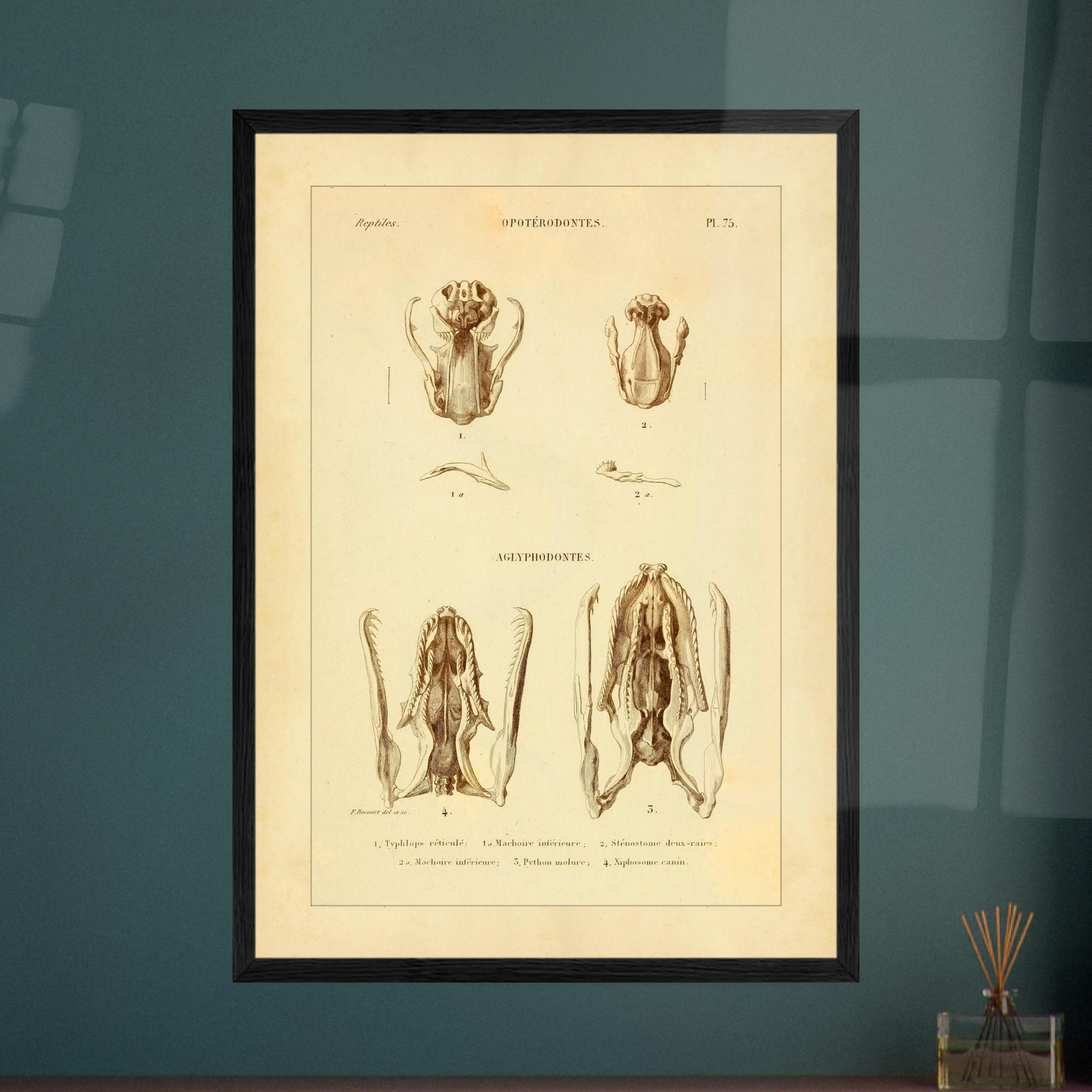 ff9f5a21-943a-4216-a9fd-261e3d8618d1