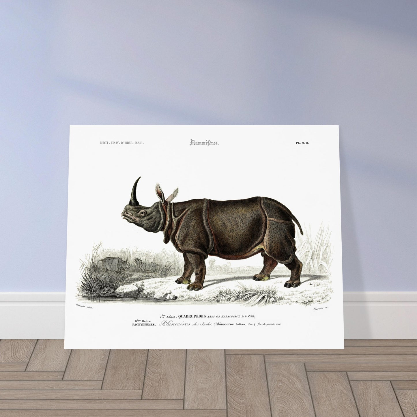Gravure ancienne : Rhinocéros des Indes - Charles d'Orbigny. Gravure ancienne représentant un rhinocéros des Indes dans un paysage naturel. Image d'illustration 5