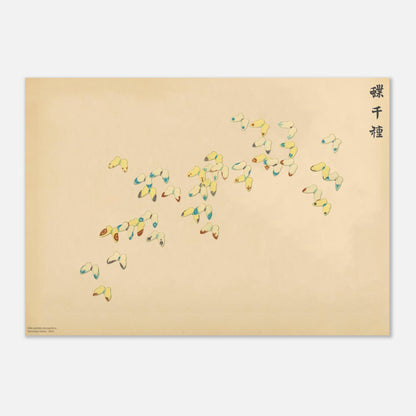 Gravure de papillons aux traits bleus et rouges de Sekka (29,7x42 cm (A3)). Gravure japonaise de papillons stylisés aux traits fins, bleus et rouges, sur un fond crème, par Kamisaka Sekka.