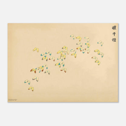 Gravure de papillons aux traits bleus et rouges de Sekka (50x70 cm). Gravure japonaise de papillons stylisés aux traits fins, bleus et rouges, sur un fond crème, par Kamisaka Sekka.