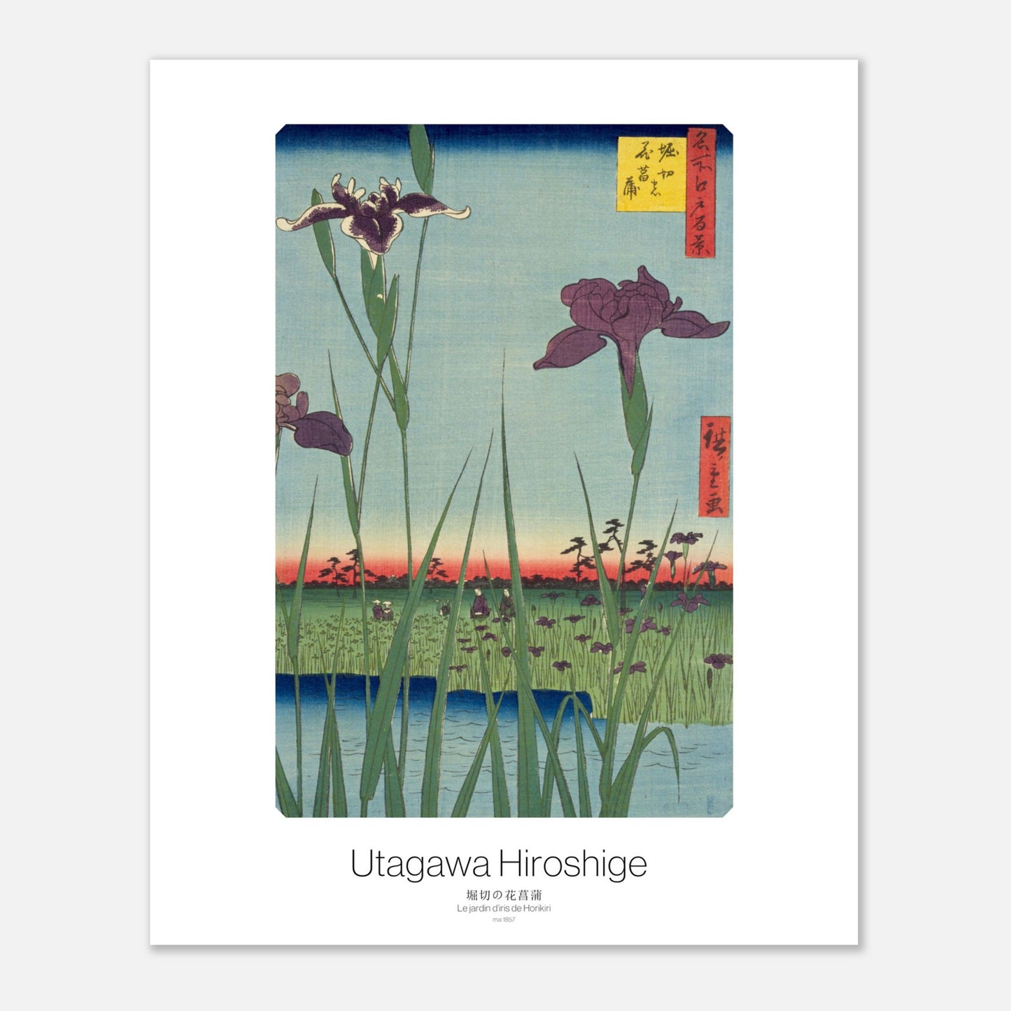 Gravure ukiyo-e : Le jardin d'iris de Horikiri - Utagawa Hiroshige (40x50 cm). Gravure sur bois japonaise représentant un jardin d'iris aux couleurs violettes et vertes, avec de l'eau au premier plan et un ciel orangé à l'horizon.