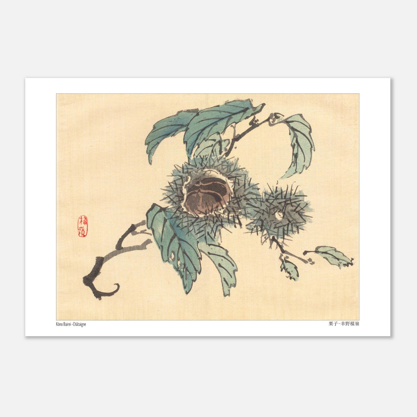 Illustration Botanique de Châtaignes par Kōno Bairei (29,7x42 cm (A3)). Reproduction d'art japonais de trois châtaignes dans leurs bogues épineuses, sur une branche avec des feuilles.
