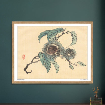Illustration Botanique de Châtaignes par Kōno Bairei. Reproduction d'art japonais de trois châtaignes dans leurs bogues épineuses, sur une branche avec des feuilles. Image d'illustration 5