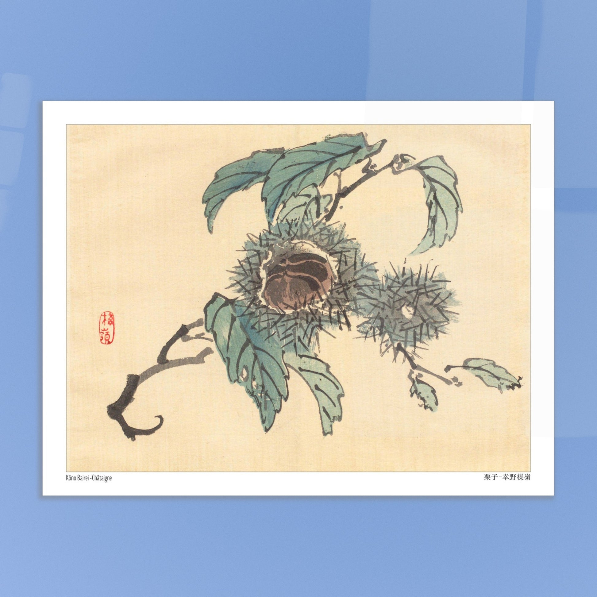 Illustration Botanique de Châtaignes par Kōno Bairei. Reproduction d'art japonais de trois châtaignes dans leurs bogues épineuses, sur une branche avec des feuilles. Image d'illustration 6