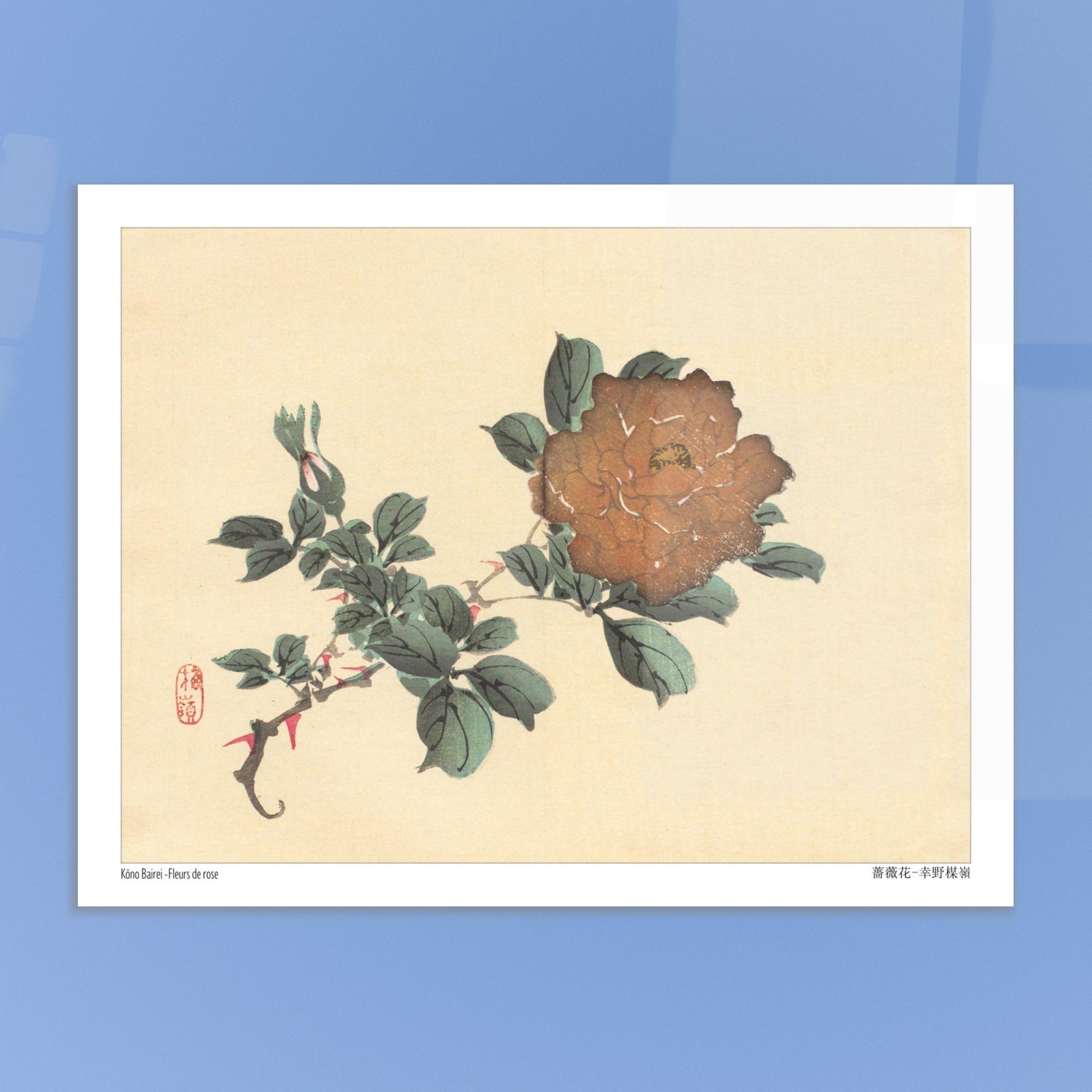 Illustration botanique de Fleurs de Rose par Kōno Bairei. Illustration botanique d'une fleur de rose brune et de son bourgeon, dessinée par Kōno Bairei sur fond beige, entourée de feuilles vertes. Image d'illustration 5