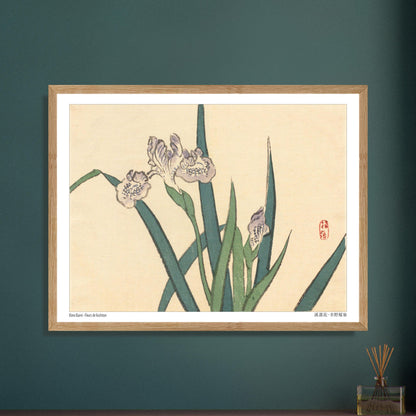 Illustration botanique de Fleurs de Lisichiton par Kōno Bairei. Illustration botanique de Kōno Bairei représentant des fleurs de lisichiton violettes et des feuilles vertes, sur fond beige. Image d'illustration 6