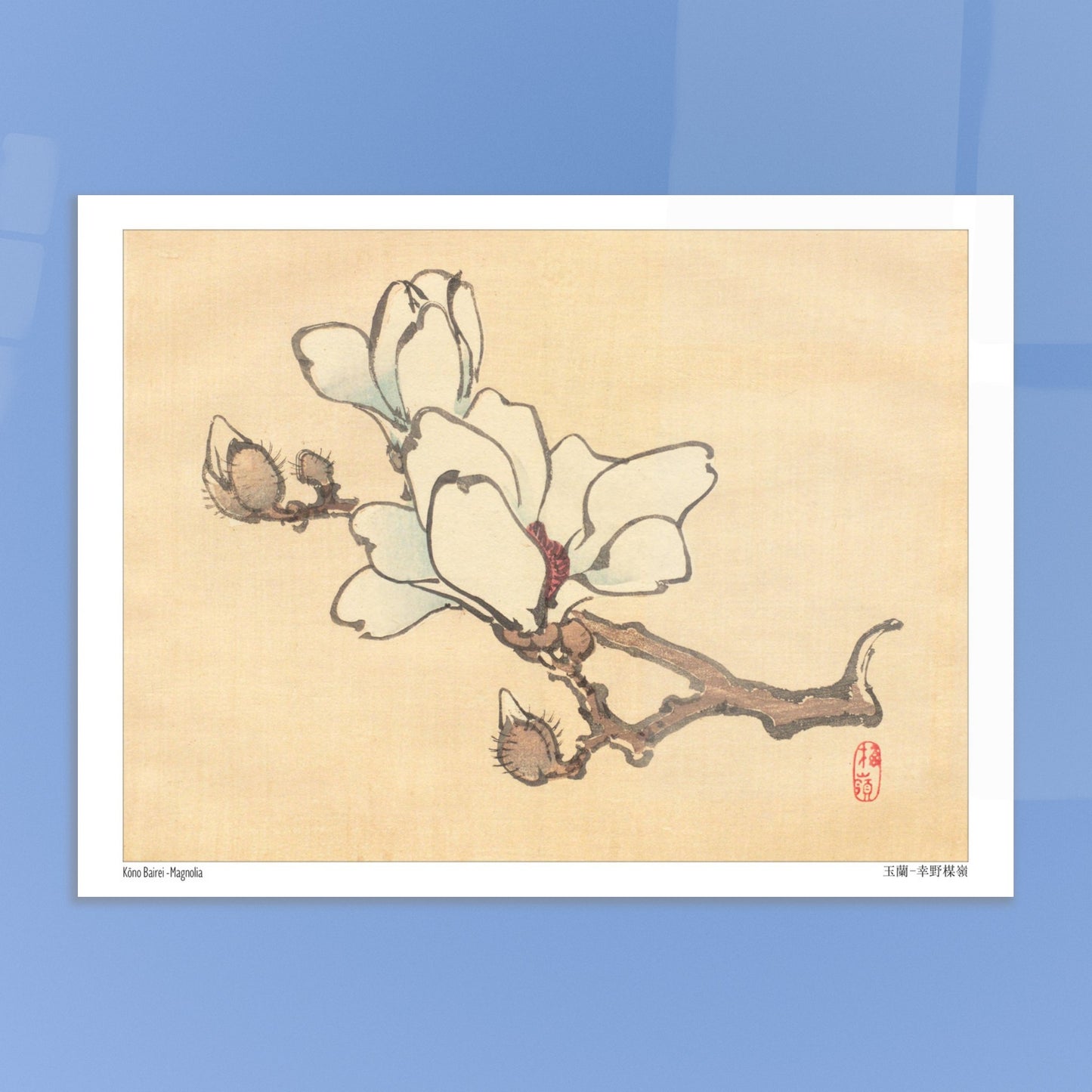 Illustration Botanique de Magnolia en Fleur par Kōno Bairei (15x20 cm). Illustration botanique de Kōno Bairei montrant une branche de magnolia avec des fleurs blanches et des bourgeons, sur fond beige.