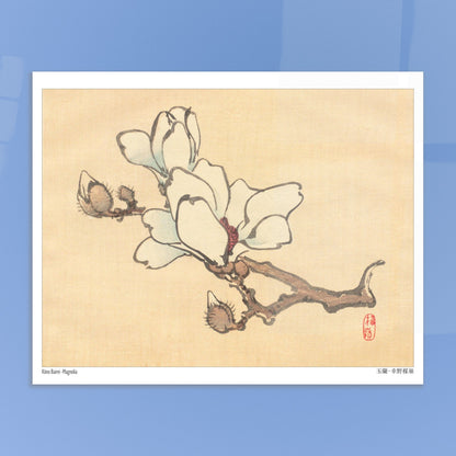 Illustration Botanique de Magnolia en Fleur par Kōno Bairei (20x25 cm). Illustration botanique de Kōno Bairei montrant une branche de magnolia avec des fleurs blanches et des bourgeons, sur fond beige.