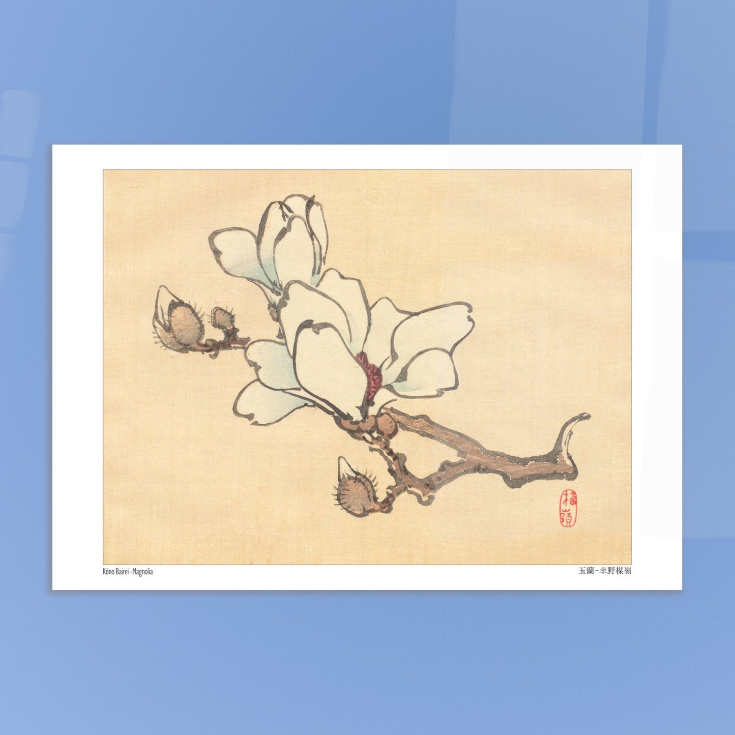 Illustration Botanique de Magnolia en Fleur par Kōno Bairei (21x29,7 cm (A4)). Illustration botanique de Kōno Bairei montrant une branche de magnolia avec des fleurs blanches et des bourgeons, sur fond beige.
