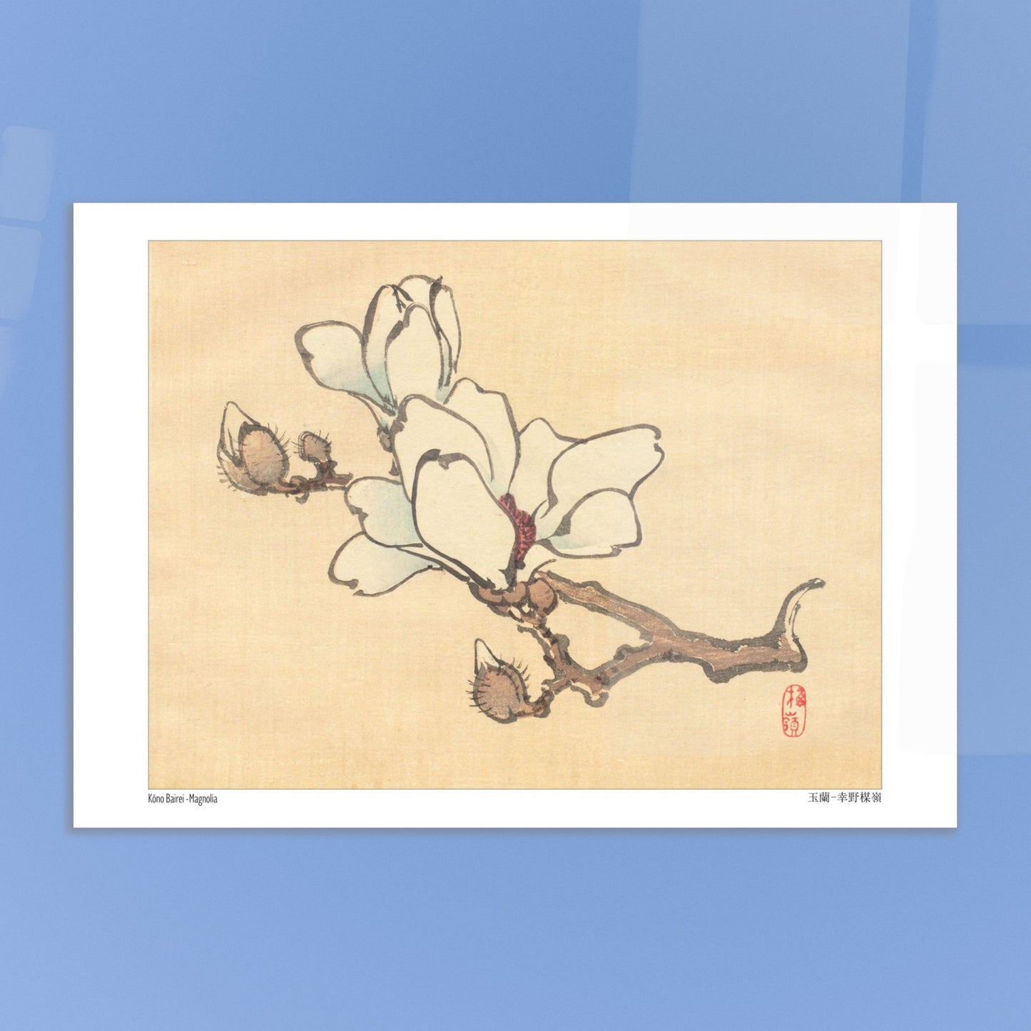 Illustration Botanique de Magnolia en Fleur par Kōno Bairei (29,7x42 cm (A3)). Illustration botanique de Kōno Bairei montrant une branche de magnolia avec des fleurs blanches et des bourgeons, sur fond beige.