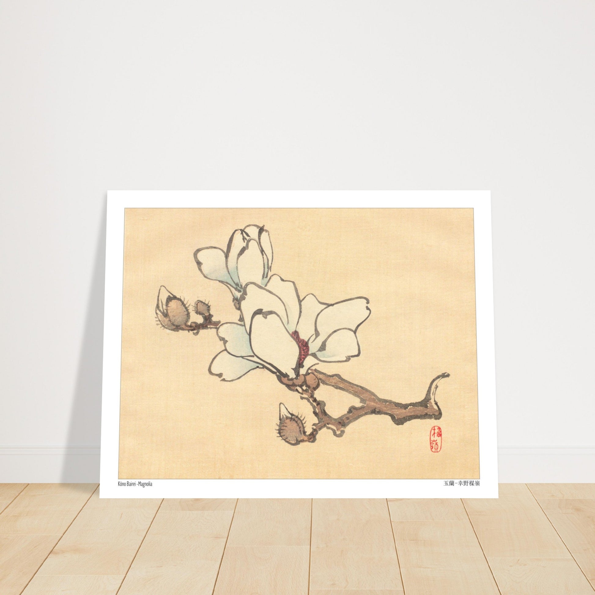Illustration Botanique de Magnolia en Fleur par Kōno Bairei. Illustration botanique de Kōno Bairei montrant une branche de magnolia avec des fleurs blanches et des bourgeons, sur fond beige. Image d'illustration 6