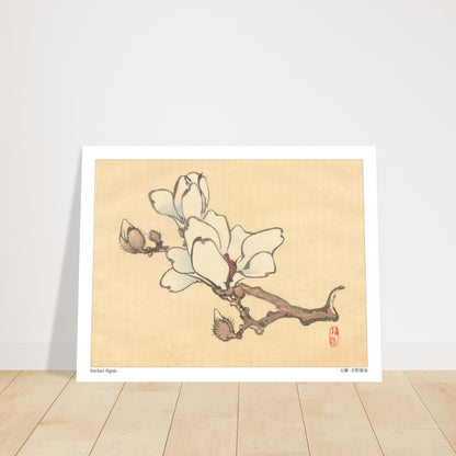 Illustration Botanique de Magnolia en Fleur par Kōno Bairei. Illustration botanique de Kōno Bairei montrant une branche de magnolia avec des fleurs blanches et des bourgeons, sur fond beige. Image d'illustration 6