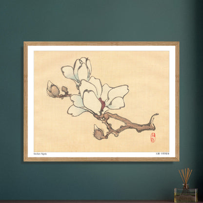 Illustration Botanique de Magnolia en Fleur par Kōno Bairei. Illustration botanique de Kōno Bairei montrant une branche de magnolia avec des fleurs blanches et des bourgeons, sur fond beige. Image d'illustration 7