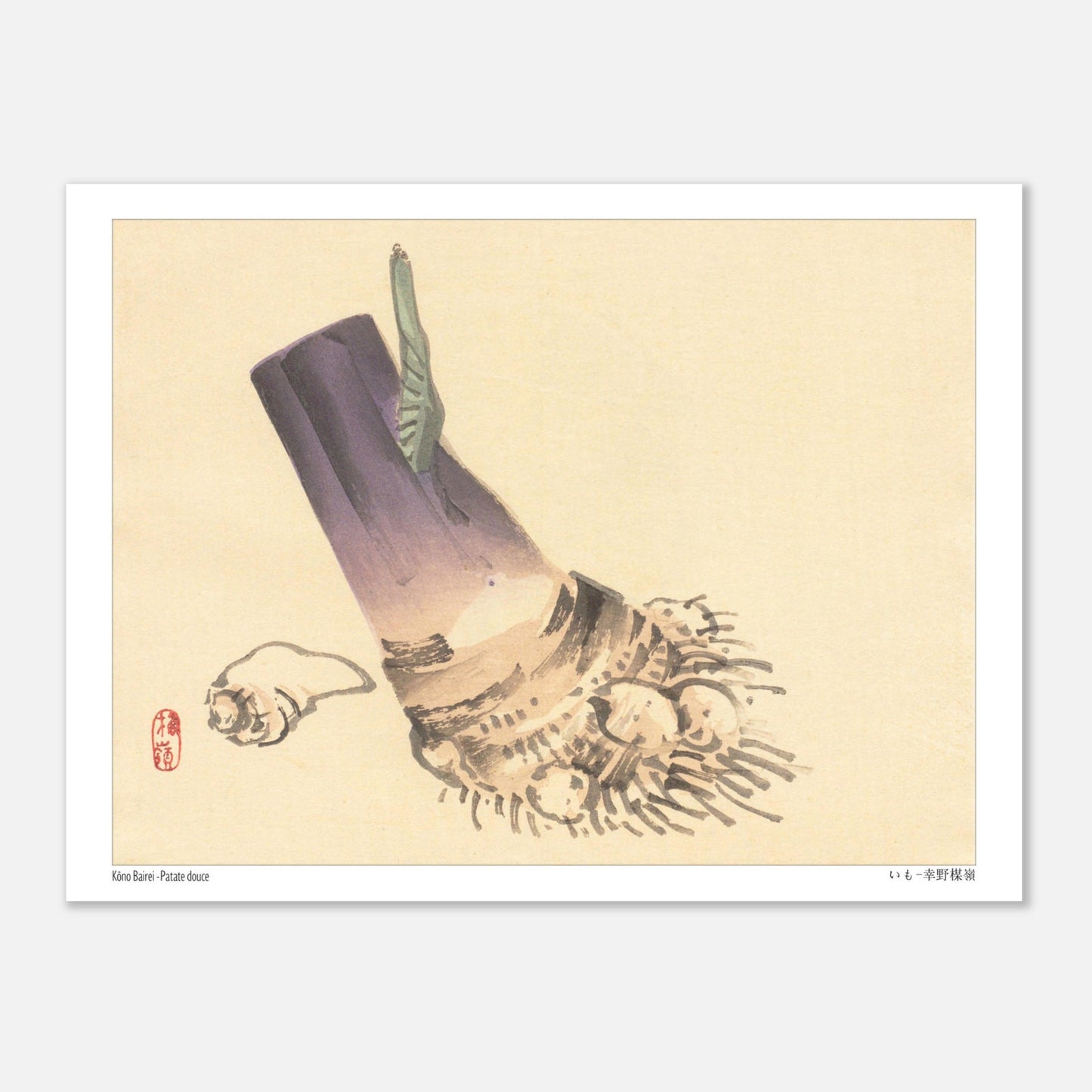 Illustration botanique de Patate douce (いも) par Kōno Bairei (15x20 cm). Illustration botanique d'une patate douce violette et beige, avec des racines et une petite feuille verte, sur fond beige.