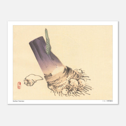 Illustration botanique de Patate douce (いも) par Kōno Bairei (15x20 cm). Illustration botanique d'une patate douce violette et beige, avec des racines et une petite feuille verte, sur fond beige.