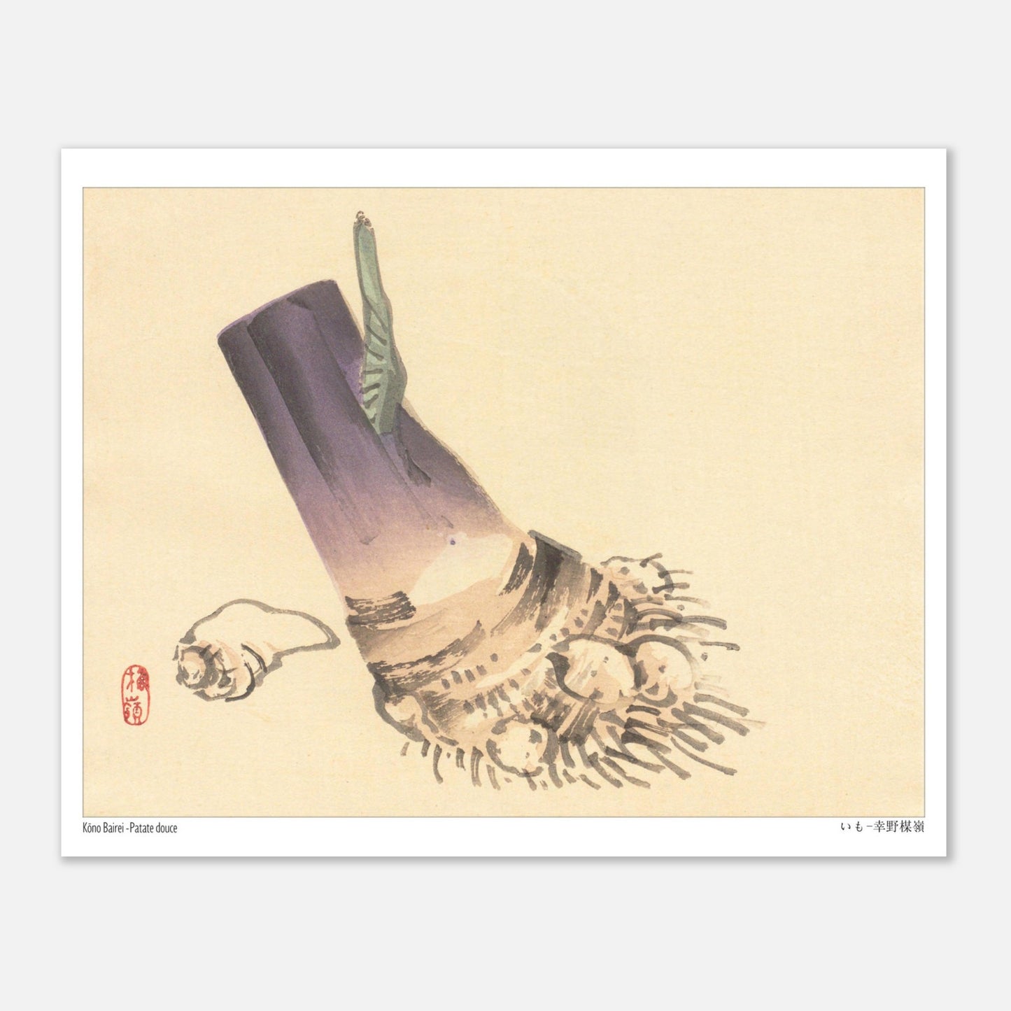 Illustration botanique de Patate douce (いも) par Kōno Bairei (20x25 cm). Illustration botanique d'une patate douce violette et beige, avec des racines et une petite feuille verte, sur fond beige.