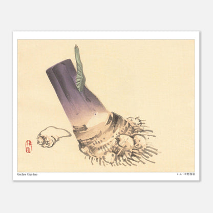 Illustration botanique de Patate douce (いも) par Kōno Bairei (20x25 cm). Illustration botanique d'une patate douce violette et beige, avec des racines et une petite feuille verte, sur fond beige.
