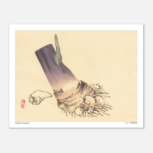 Illustration botanique de Patate douce (いも) par Kōno Bairei (27x35 cm). Illustration botanique d'une patate douce violette et beige, avec des racines et une petite feuille verte, sur fond beige.